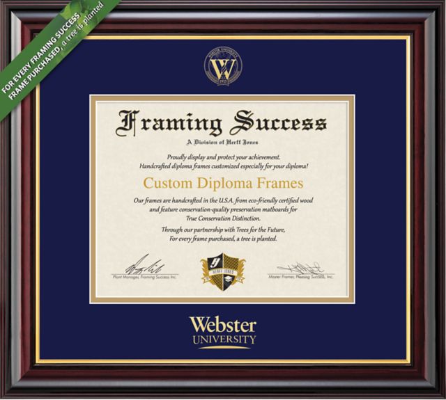 Webster University 14'' x 17'' Windsor Diploma Frame