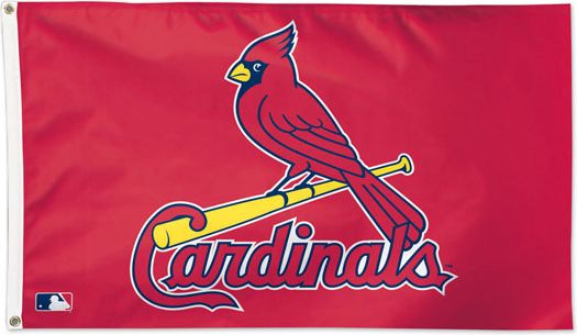 Webster University Gorloks Flag