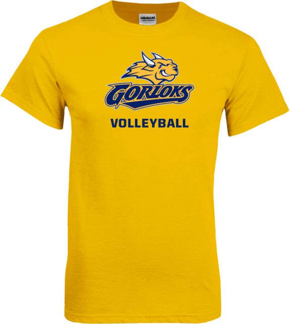 Webster T Shirt Volleyball - ONLINE ONLY