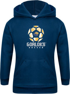 Webster Youth Fleece Hoodie Soccer Ball Design - ONLINE ONLY
