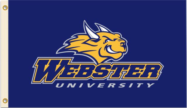 Webster 3 ft x 5 ft Flag - ONLINE ONLY