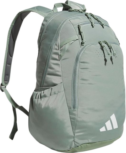 BKPK DEFENDER 5 SLVR GRN/WHT